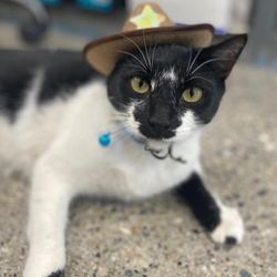 The Ranch Veterinary Clinic