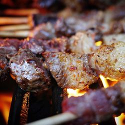 Meat Togo - Colorado lamb skewers