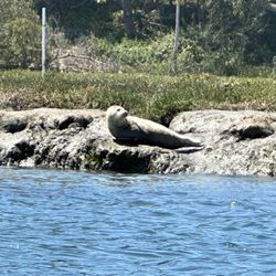 Monterey Bay Kayaks