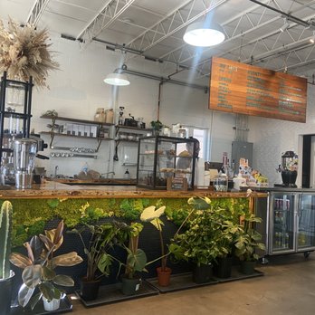 Dandy Lion Coffee - Coffee & Tea Near Me - Denver, Colorado Dandy Lion Coffee - Coffee & Tea Near Me - Denver, Colorado
