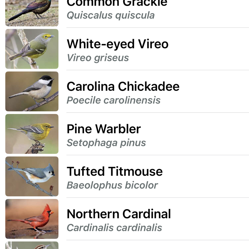 Edith L Moore Nature Sanctuary - The birds we identified using our Merlin Bird ID app. - Parks Near Me - Houston, Texas Edith L Moore Nature Sanctuary - The birds we identified using our Merlin Bird ID app. - Parks Near Me - Houston, Texas