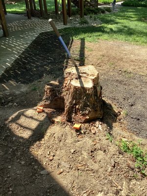 Stump Removal - Before and after photos of our work