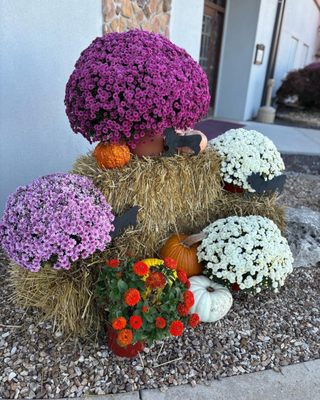 St. James Winery by null