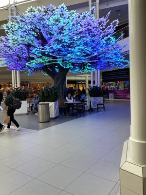 North Point Mall by null