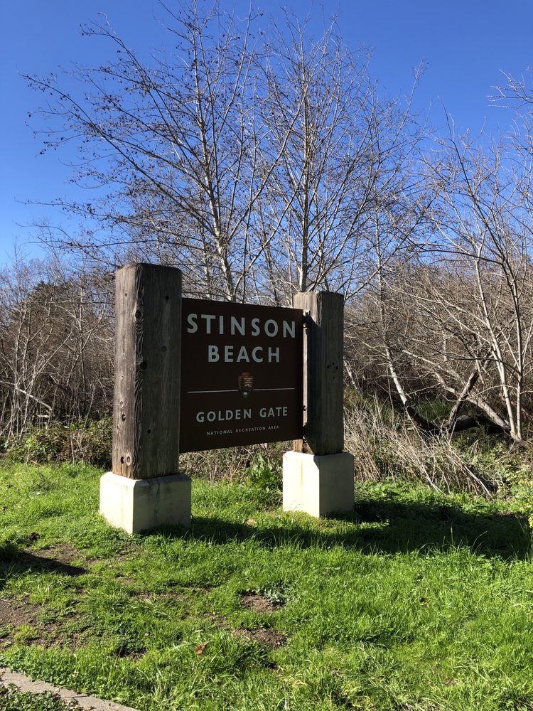 STINSON BEACH SURF AND KAYAK RENTAL Updated August 2024 18 Reviews