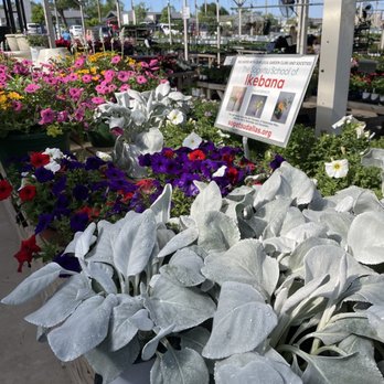 North Haven Gardens - Nurseries & Gardening Near Me - Dallas, Texas North Haven Gardens - Nurseries & Gardening Near Me - Dallas, Texas