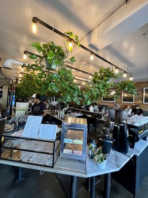 Aviano Coffee Cherry Creek North by null