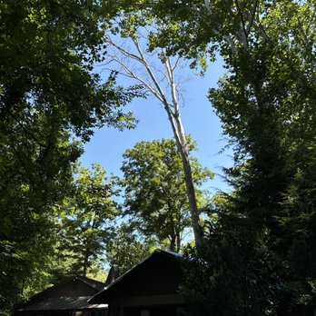 Mynatts Tree Care - Tree Services Near Me Mynatts Tree Care - Tree Services Near Me