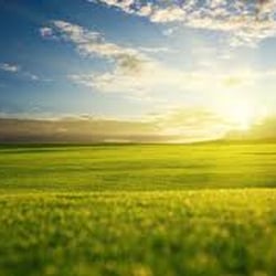 Marin Integrative Therapy - Private Meditation Services