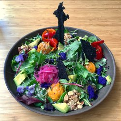 Plant Power Food