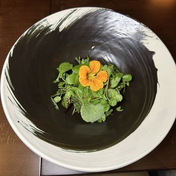 Seline - Wild Herbs - Seafood Near Me - Santa Monica, California Seline - Wild Herbs - Seafood Near Me - Santa Monica, California