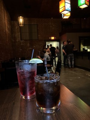 The Partisan by null