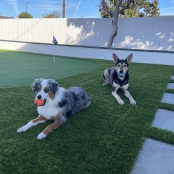 Fernando's Turf - Artificial Turf Near Me