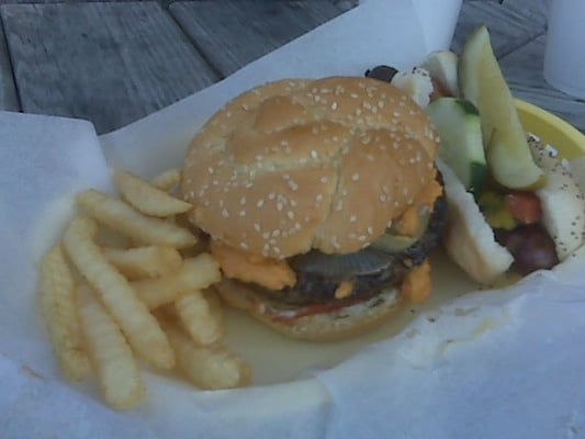 Paradise Pup by null