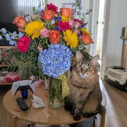 This is Rays of Light deluxe assortment. Ruby loves them too!