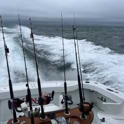 Wet N Wild Sportfishing Charters