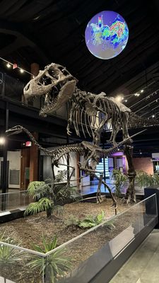 Houston Museum of Natural Science at Sugar Land by null