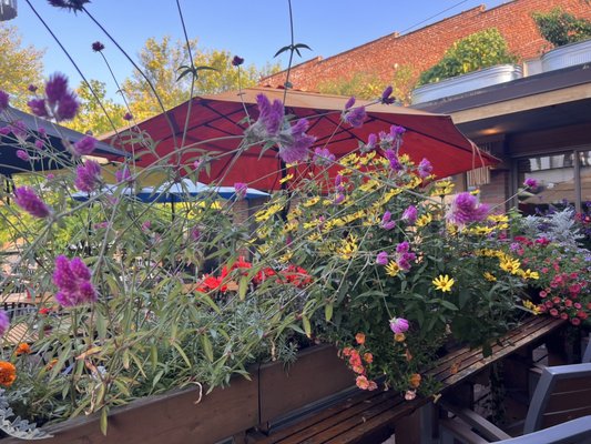 Washington Square Bar & Grill by null