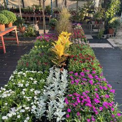 Desoto Nursery & Grass