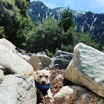 Big Falls - Hiking Near Me - Forest Falls, California