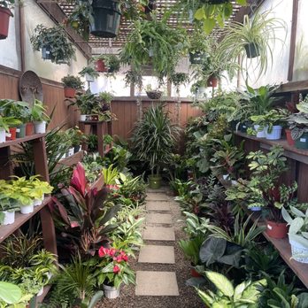 Shore Gardens Nursery - Nurseries & Gardening Near Me - San Clemente, California Shore Gardens Nursery - Nurseries & Gardening Near Me - San Clemente, California
