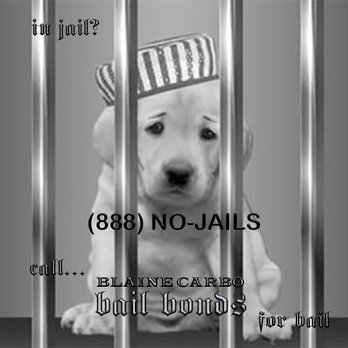 Blaine Carbo Bail Bonds - In Jail? Call Blaine for Bail - Bail Bondsmen Near Me - Fullerton, California Blaine Carbo Bail Bonds - In Jail? Call Blaine for Bail - Bail Bondsmen Near Me - Fullerton, California