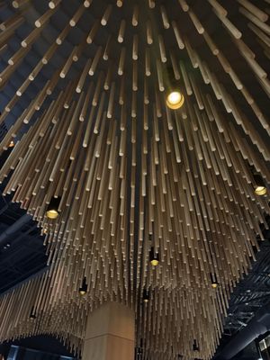 lala Puerto Rico by null