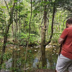 Gatlinburg Trail - Trail views
