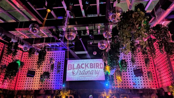 Blackbird Ordinary by null