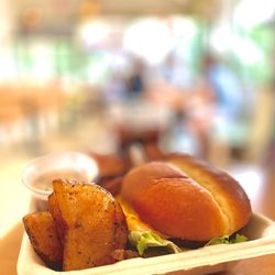 Seven Brothers - Haleiwa - Cheeseburger
