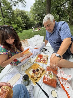 The Great Lawn by null