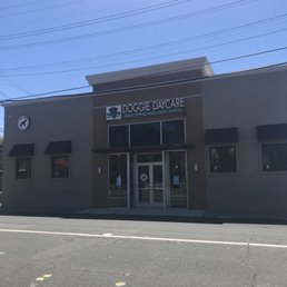 Shared space with dog grooming and animal hospital Shared space with dog grooming and animal hospital