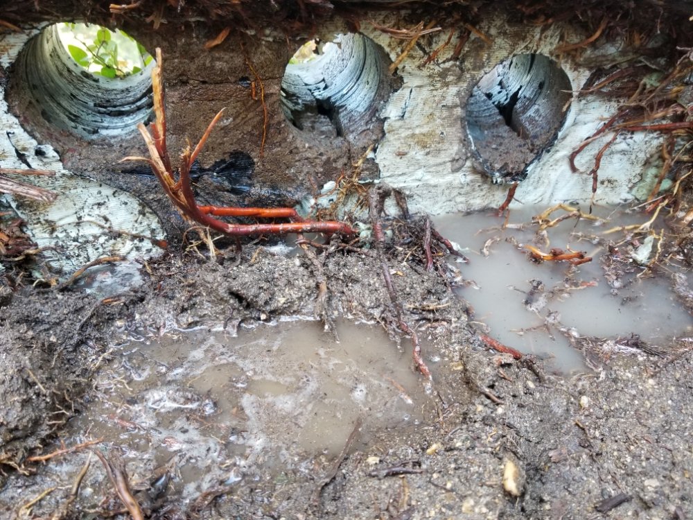 Slide of Soto's Quality Construction