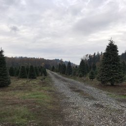 One of the many isles of trees