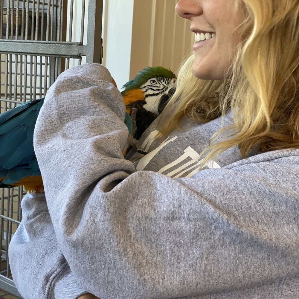 Coronado Beach Resort - Petting Ms. Cody. - Hotels Near Me - Coronado, California Coronado Beach Resort - Petting Ms. Cody. - Hotels Near Me - Coronado, California