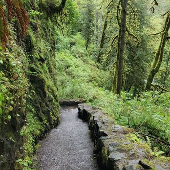 Silver Falls State Park - Hiking Near Me - Sublimity, Oregon Silver Falls State Park - Hiking Near Me - Sublimity, Oregon
