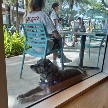 How You Brewin Coffee Company - Coffee & Tea Near Me - Pompano Beach, Florida How You Brewin Coffee Company - Coffee & Tea Near Me - Pompano Beach, Florida