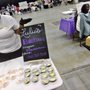 Dessert Wars