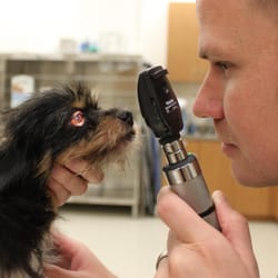South Park Animal Hospital
