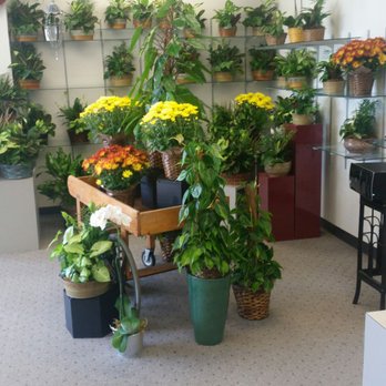 Norfolk Florist - Florists Near Me - Virginia Beach, Virginia Norfolk Florist - Florists Near Me - Virginia Beach, Virginia