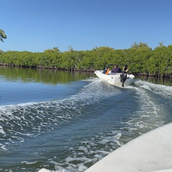 Jungle Tour Adventure Cancun - Driving through the mangroves was so special - Snorkeling Near Me - Cancún, ROO Jungle Tour Adventure Cancun - Driving through the mangroves was so special - Snorkeling Near Me - Cancún, ROO