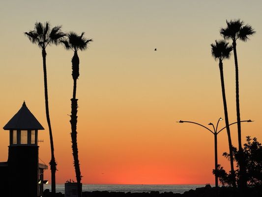 Redondo Beach Pier by null