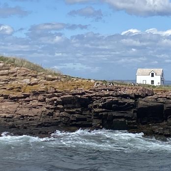 Acadian Boat Tours - Puffins! - Fishing Near Me - Bar Harbor, Maine Acadian Boat Tours - Puffins! - Fishing Near Me - Bar Harbor, Maine