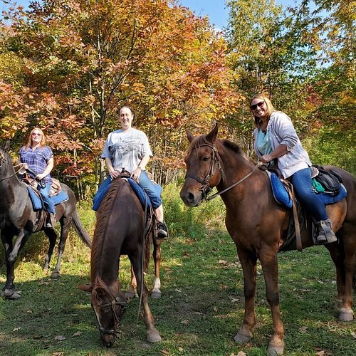 Palmetto Horse Riding - equestrian in Tampa, FL