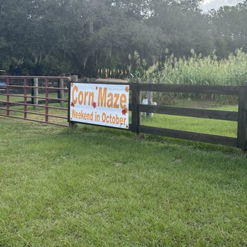 Hastings Ranch & Farm - Venues & Event Spaces Near Me - St. Cloud, Florida