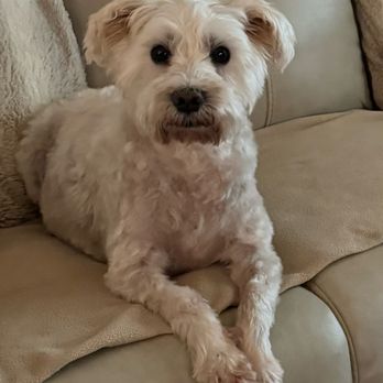 Petco - Pet Stores Near Me - Concord, New Hampshire