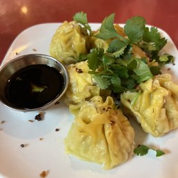 Thai Dumplings