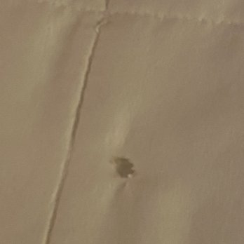 Econo Lodge Inn & Suites - Cigarette burns on bed sheets - Hotels Near Me - Joplin, Missouri Econo Lodge Inn & Suites - Cigarette burns on bed sheets - Hotels Near Me - Joplin, Missouri