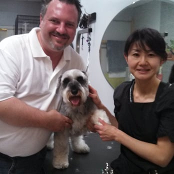 Le Pitou Boutique - Joe, Kodak, and Talented Groomer! - Pet Groomers Near Me - Forest Hills, New York Le Pitou Boutique - Joe, Kodak, and Talented Groomer! - Pet Groomers Near Me - Forest Hills, New York
