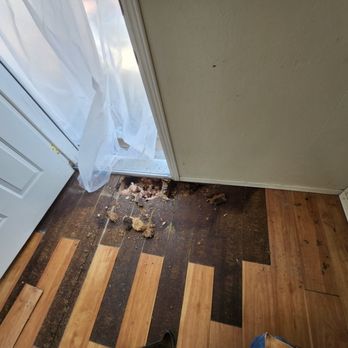 Luke's Handyman Services - Floor rot - Handyman Near Me - Sweet Home, Oregon Luke's Handyman Services - Floor rot - Handyman Near Me - Sweet Home, Oregon